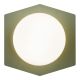 Aplica LED de perete/tavan design modern CELIA salvie