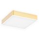 Plafoniere - Plafoniera LED moderna ATLANTIS 35x35cm