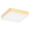 Plafoniera LED moderna ATLANTIS 35x35cm