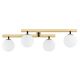 Lustre aplicate - Lustra aplicata cu 4 surse de lumina FREEMONT
