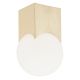 Plafoniere - Plafoniera moderna minimalista AUSTIN auriu/alb
