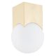 Plafoniere - Plafoniera moderna minimalista AUSTIN auriu/alb