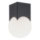 Plafoniera moderna minimalista AUSTIN negru/alb