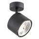 Aplice cu Spot - Aplica de perete/tavan cu spot ajustabil CLEAVLAND neagra