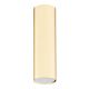 Plafoniere cu spoturi, Spoturi aplicate - Spot aplicat tavan TYBER PLUS auriu 18cm