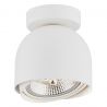 Plafoniera moderna tip Spot aplicat directionabil GARLAND alba