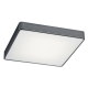Plafoniere - Plafoniera patrata design slim ONTARIO 45cm gri inchis