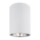 Spot aplicat tavan TYBER rotund 9cm alb
