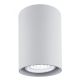 Plafoniere cu spoturi, Spoturi aplicate - Spot aplicat tavan TYBER GU10 rotund 7cm argintiu