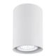 Plafoniere cu spoturi, Spoturi aplicate - Spot aplicat tavan TYBER GU10 rotund 7cm alb