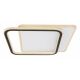 Plafoniere - Plafoniera LED cu telecomanda moderna LEVANA 55W