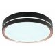 Plafoniere - Plafoniera LED moderna cu telecomanda MANNI 24W