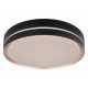 Plafoniere - Plafoniera LED moderna cu telecomanda MANNI 24W
