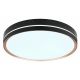 Plafoniere - Plafoniera LED moderna cu telecomanda MANNI 40W