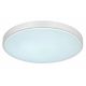 Plafoniere - Plafoniera LED moderna cu telecomanda SONNY 18W