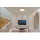 Plafoniere - Plafoniera LED cu aspect lemn design slim DORO 24W