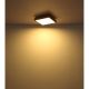 Plafoniere - Plafoniera LED cu aspect lemn design slim DORO 24W
