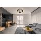 Plafoniere cu spoturi, Spoturi aplicate - Plafoniera metal stil industrial WIHO 3 negru/maro