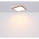 Iluminat pentru baie - Plafoniera LED pentru baie IP44 SAPANA