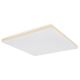 Plafoniere - Plafoniera LED dimabila cu telecomanda ULLY 24W