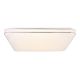 Plafoniere - Plafoniera LED dimabila cu telecomanda LASSY 48W