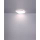 Plafoniere - Plafoniera LED dimabila cu telecomanda LASSY 48W