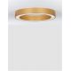 Lustre aplicate - Lustra LED aplicata design modern OPAL 50W aurie
