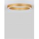 Lustre aplicate - Lustra LED aplicata design modern OPAL 60W aurie