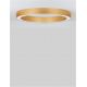 Lustre aplicate - Lustra LED aplicata design modern OPAL 60W aurie