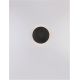 Aplice, corpuri de iluminat pentru pereti - Aplica LED de perete design ambiental CYRCLE 30cm negru