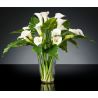 Aranjament floral mediu design LUX FAZZOLETTO CALLA