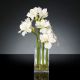 Aranjamente florale LUX - Aranjament floral mediu design LUX AMARYLLIS RADISH WHITE