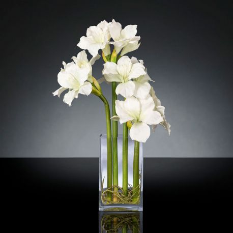 Aranjamente florale LUX - Aranjament floral mediu design LUX AMARYLLIS RADISH WHITE