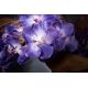Aranjamente florale LUX - Aranjament floral mediu design LUX VANDA HEART LEAF, dia 90cm