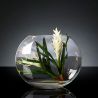Aranjament floral mediu design LUX OVAL BROMELIA