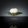 Aranjament floral mic decor festiv design LUX ALZATA PEONY WHITE