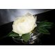 Aranjamente florale LUX - Aranjament floral mic decor festiv design LUX ALZATA PEONY WHITE