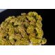 Aranjamente florale LUX - Aranjament floral mic decor festiv design LUX SEDUM PLANT