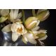 Aranjamente florale LUX - Aranjament floral mare decor festiv design LUX MERCURIO LOTUS H-194cm