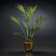 Aranjamente florale LUX - Aranjament floral mare decor festiv design LUX KENTIA PALM H-155cm