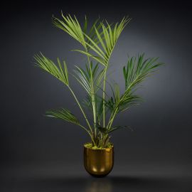 Aranjamente florale LUX - Aranjament floral mare decor festiv design LUX KENTIA PALM H-155cm