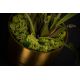 Aranjamente florale LUX - Aranjament floral mare decor festiv design LUX KENTIA PALM H-155cm
