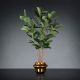 Aranjamente florale LUX - Aranjament floral mare decor festiv design LUX GOLD ATOLLO FICUS H-118cm