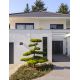Aplice - Aplica LED de perete pentru iluminat exterior IP65 PARRIS