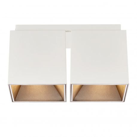 Plafoniere cu spoturi, Spoturi aplicate - Corp aplicat cu 2 spoturi design modern ETHAN alb