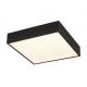 Plafoniera LED baie cu protectie IP44 Zeus 30x30cm, negru