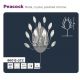 Aplice, corpuri de iluminat pentru pereti - Aplica de perete eleganta design modern Peacock 2L