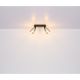Plafoniere cu spoturi, Spoturi aplicate - Plafoniera cu 2 spoturi directionabile design modern HADERA negru