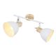Aplice cu Spot - Aplica de perete / tavan cu 2 spoturi directionabile design industrial WIHO alb