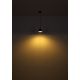 Pendule, Lustre suspendate - Pendul design industrial WIHO negru